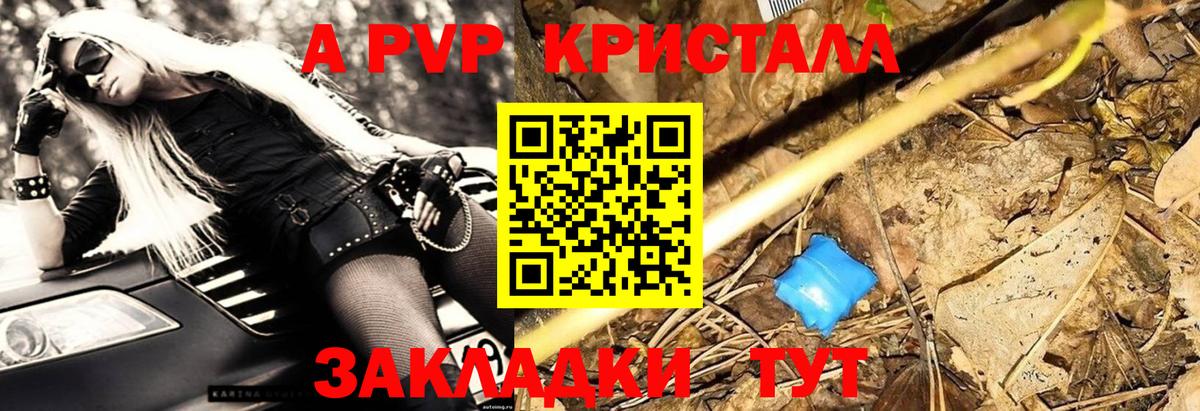 А ПВП СК Новошахтинск