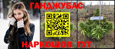 крисы Гагарин