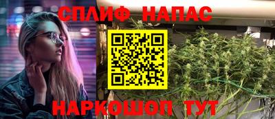 крисы Гагарин