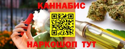 крисы Гагарин