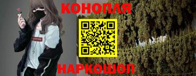 ешки Гай