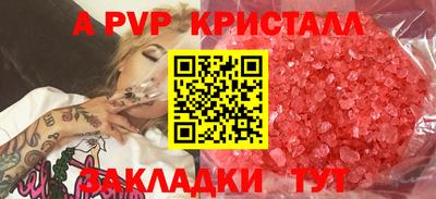 крисы Гагарин