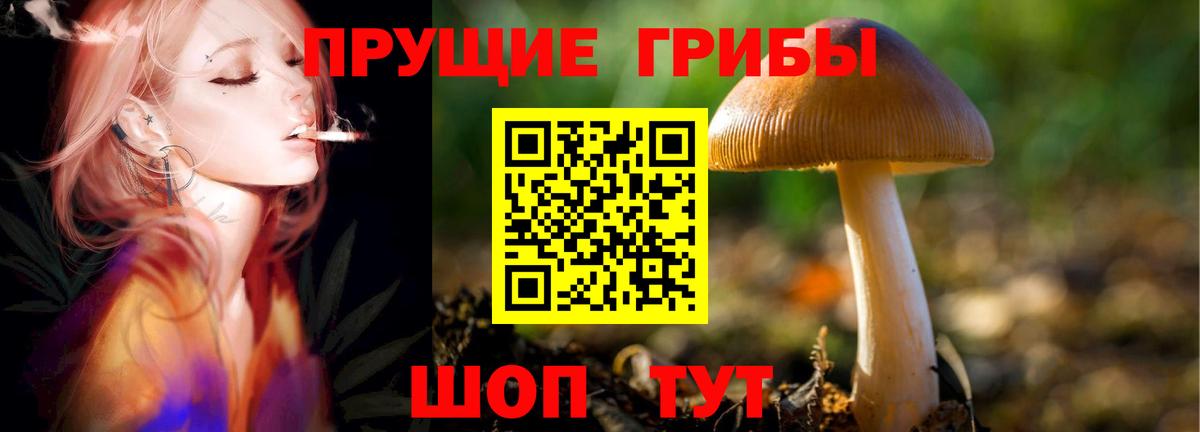 Галлюциногенные грибы Psilocybe  Псилоцибиновые грибы GOLDEN TEACHER  закладка  Новошахтинск  Вход с VPN 