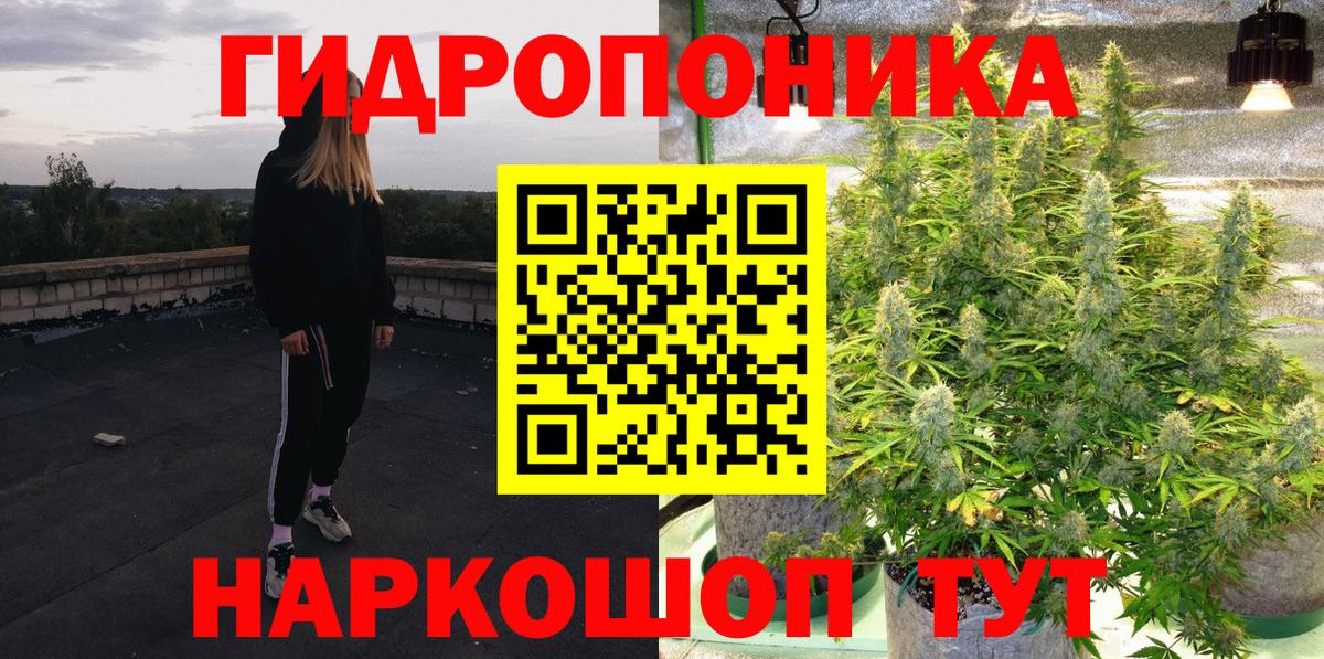 Бошки марихуана сатива Новошахтинск